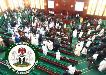 House Of Reps In Nigeria Proposes A Minimum Wage Of N100,000