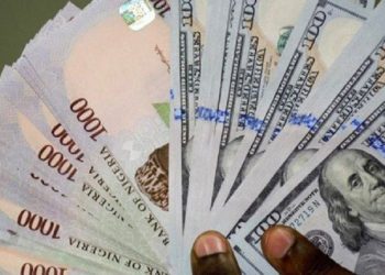 Naira Rebounds As CBN Clears Foreign Exchange Backlogs