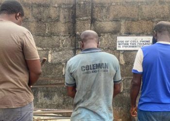 Imo State Arrest: Three Suspects Apprehended for Defiling Minor