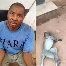 Man Arrested And Paraded For Killing A Monkey In Awka