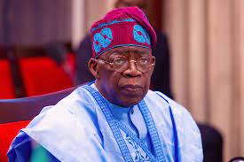 Tinubu’s Response: Budget Padding & Security Stand