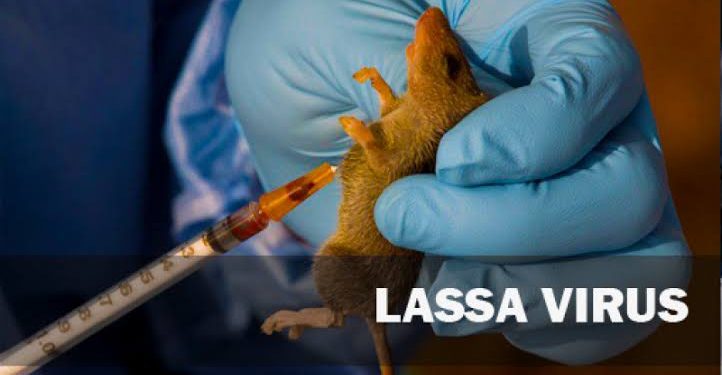 Lassa fever