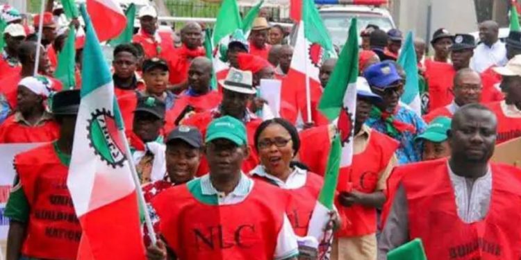 NLC and TUC