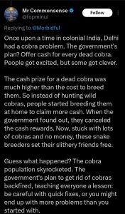 Cobra 